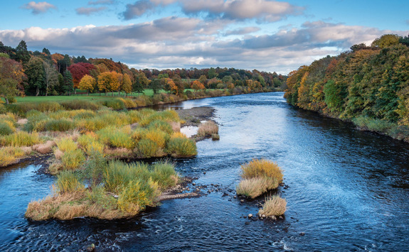 Tyne Valley River